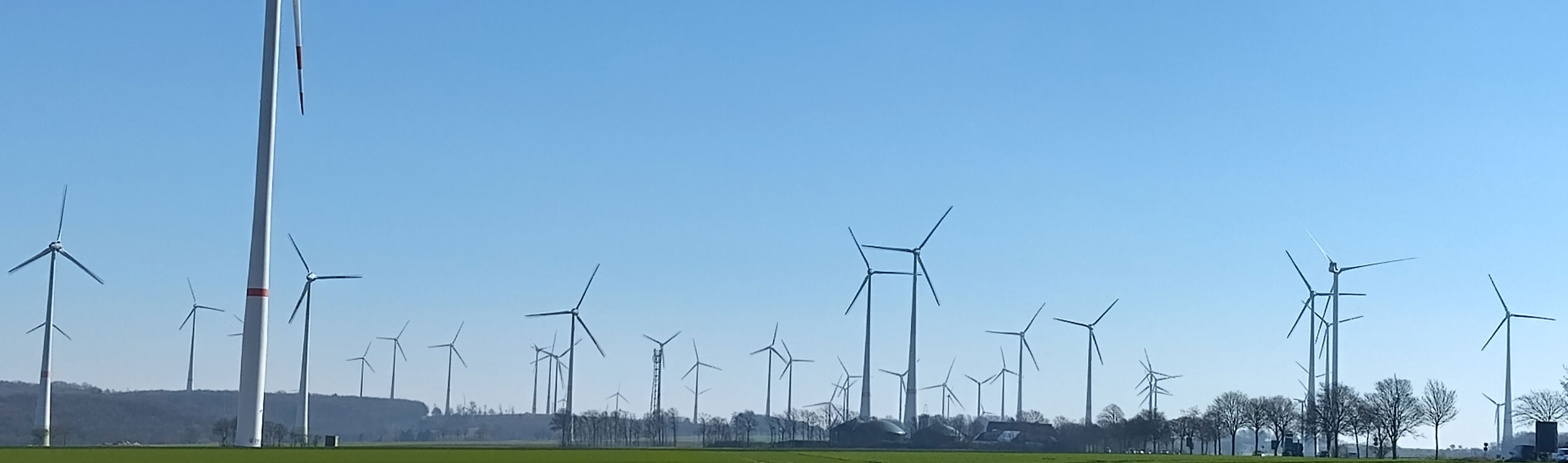 Wind farm with a very large number of turbines